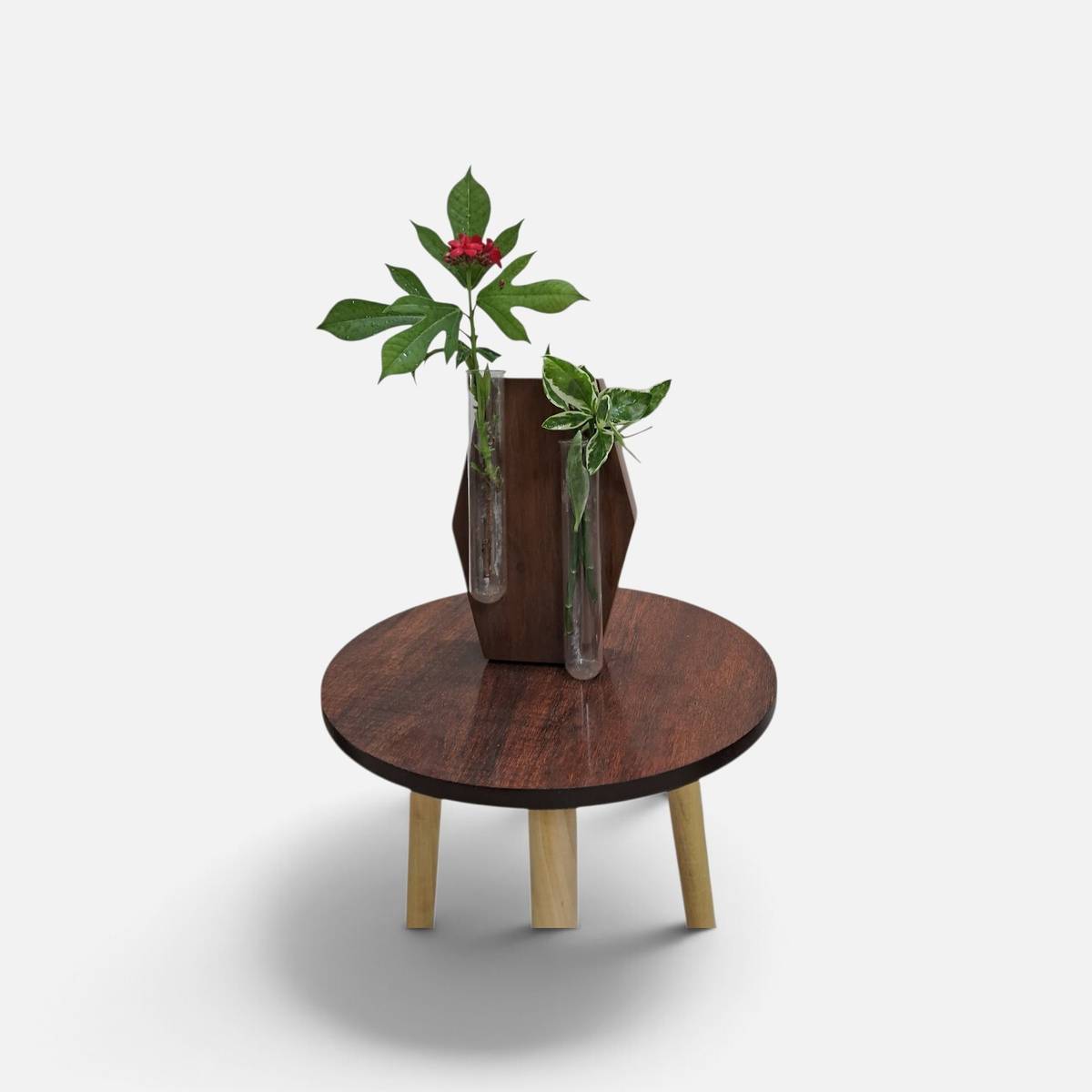 Dcute Wooden Table Test Tube Flowers pot