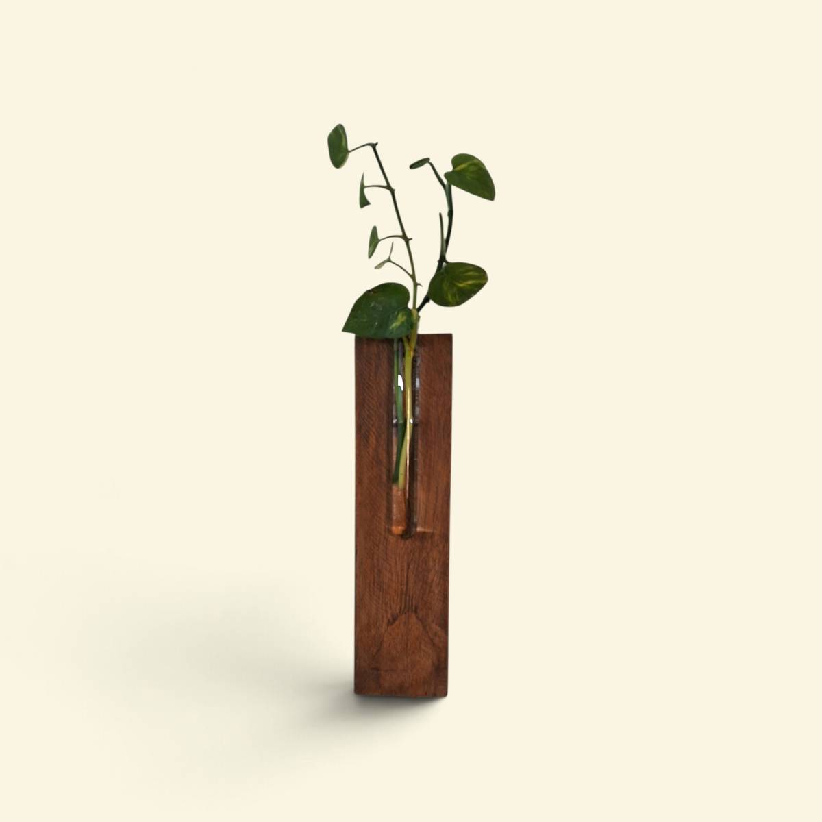 Dcute Wooden Wall Hanging Test Tube Flowers pot