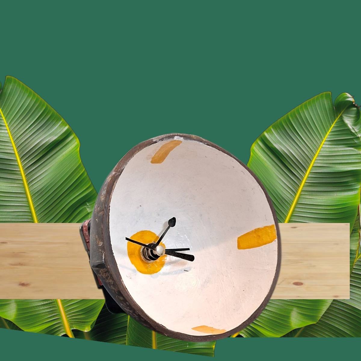 Dcute Coconut Table Clock